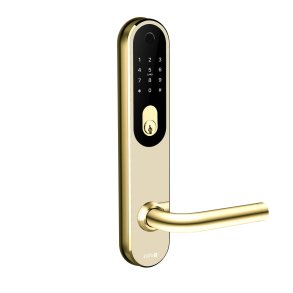 Zafe T-Lock OVAL, messing