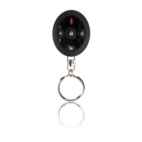 Blaupunkt fjernbetjening