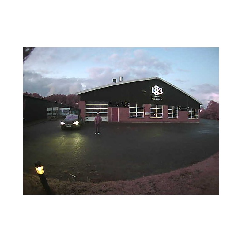 TrueGuard udendrs PIR m. kamera F1 LED version