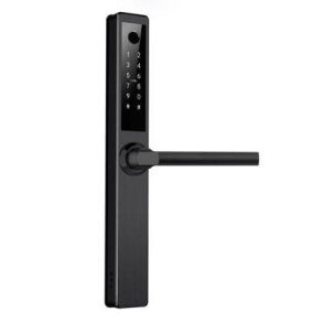 SmartZafe DZ 1041, Modul