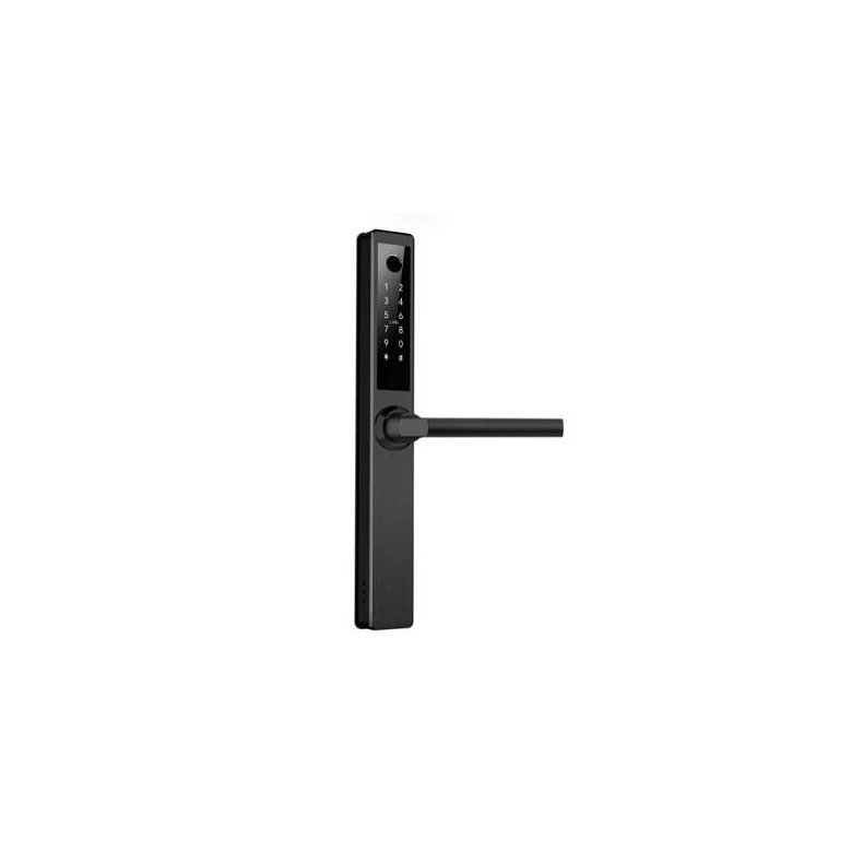 SmartZafe DZ 1041, Modul